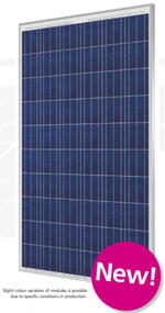 Centrosolar S 250P60  250Watt Solar Panel Module
