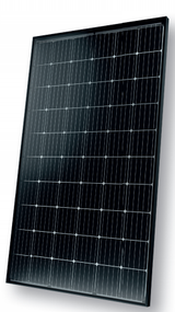 Solarwatt Eco 60M style (320 Wp) 320 Wp, Mono, Glass-Foil, black 