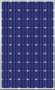 JA Solar JAM6-60-240/SI 240 Watt Solar Panel Module image