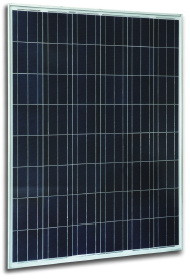 Jetion JT175PEe 175 Watt Solar Panel Module image