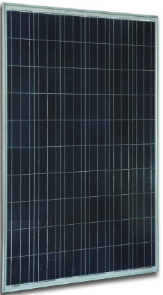 Jetion JT245PCe 245 Watt Solar Panel Module image