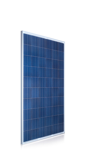 ReneSola JC250M-24/Bb 250 Watt Solar Panel Module image