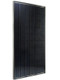 ReneSola JC250S-24Bb-b 250 Watt Solar Panel Module image