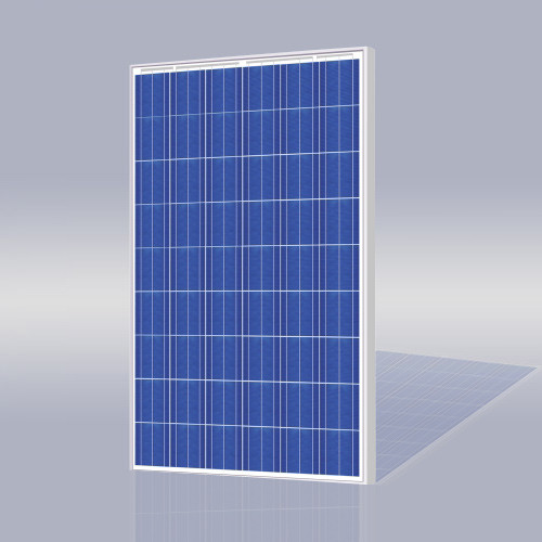 Risen Energy SYP205P 205 Watt Solar Panel Module image
