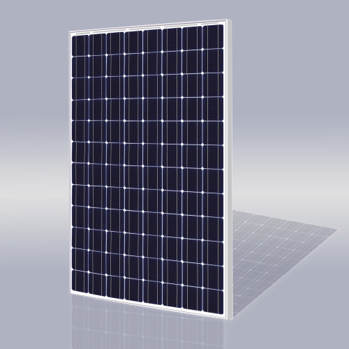 Risen Energy SYP255S-M 255 Watt Solar Panel Module image