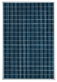Schott ASE DG-FT 300 Watt Solar Panel Module (Discontinued) image