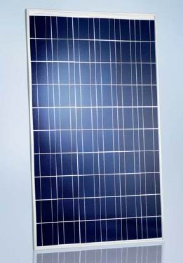 Schott Poly 220 Watt Solar Panel Module (Discontinued) image