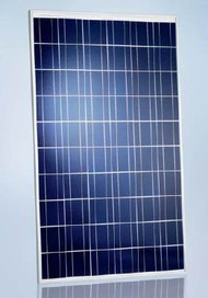 Schott Poly 235 Watt Solar Panel Module (Discontinued) image