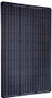 SolarWorld Sunmodule Plus 250 mono black 250 Watt Solar Panel Module