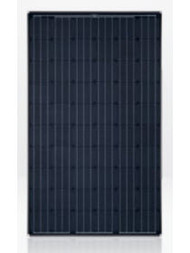 Solar World SW-250-M-AB 250 Watt Solar Panel Module image