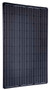SolarWorld Sunmodule Plus SW 275 Mono Black 275 Watt Solar Panel Module Image