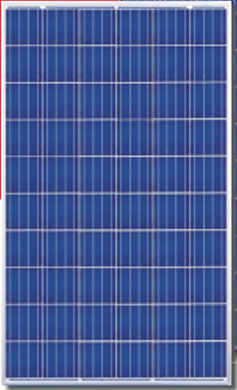 Canadian Solar CS6X-310P 310 Watt Solar Panel Module Image