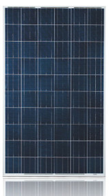Ulica Solar UL-245P-60 245 Watt Solar Panel Module Image