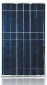 Ulica Solar UL-250P-60 250 Watt Solar Panel Module Image