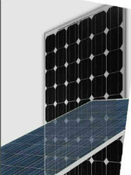 Nb Solar TPB156×156/2-36-P 65W 65 Watt Solar Panel Module Image