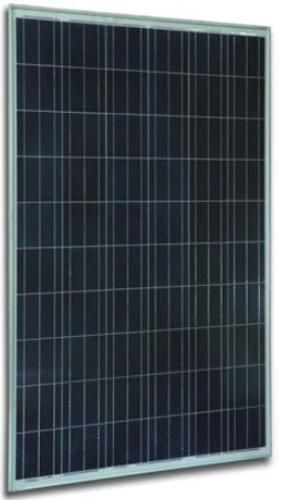 Solar Innova SI-ESF-M-P156-72 295 Watt Solar Panel Module Image