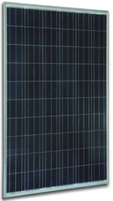 Solar Innova SI-ESF-M-P156-72 300 Watt Solar Panel Module Image