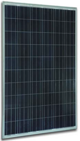 Solar Innova SI-ESF-M-P156-72 305 Watt Solar Panel Module Image