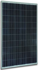 Solar Innova SI-ESF-M-P156-66 275 Watt Solar Panel Module Image