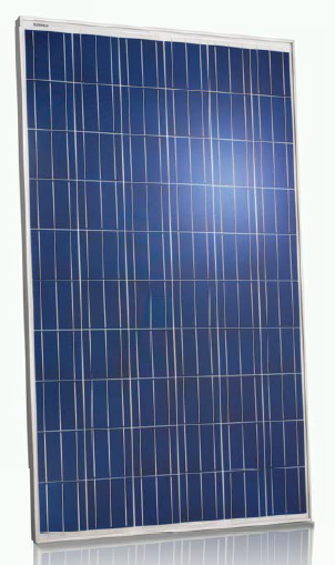 Jinko Solar Jkm255p 255 Watt Solar Panel Module