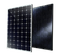 Phono Solar PS250P-20-U-B-SE Black 250 Watt Solar Panel Module