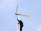 Bergey XL.1 1000 watt Wind Turbine
