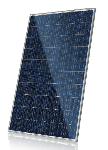 Canadian Solar CS6P-260P 260 Watt Solar Panel Module