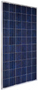 Alfasolar AR 60P 255 Watt Solar Panel Module