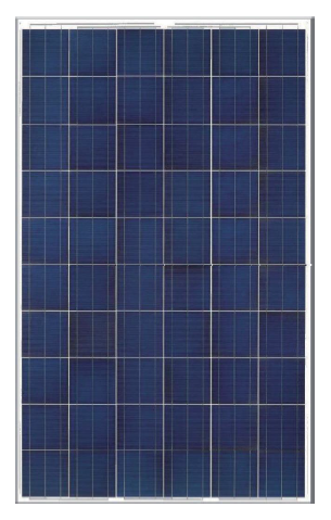 Neo Solar NSP250-D6P-B3A 250 Watt Solar PV Module