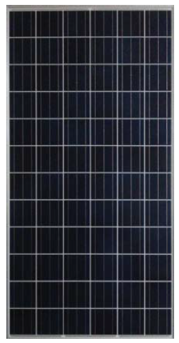 S-Energy SM-295PC8 295 Watt Solar PV Module
