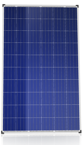 Canadian Solar Diamond CS6K-260P-FG 260 Watt Solar Panel Module