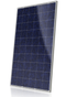 Canadian Solar Quartech CS6P-260P 260 Watt Solar Panel Module