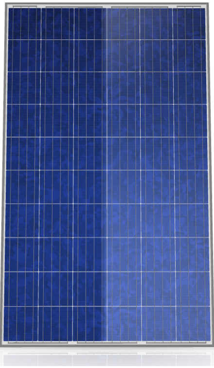 Canadian Solar Quartech Cs6p 265p 265 Watt Solar Panel Module