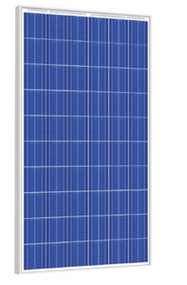 Risen Energy SYP260P 260 Watt Solar Panel Module