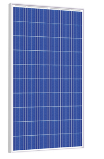 Risen Energy SYP260P 260 Watt Solar Panel Module