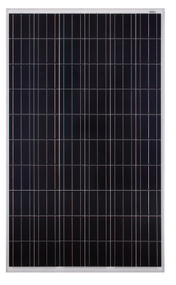 JA Solar JAM6 (R) 60-275 275 Watt Solar Panel Module