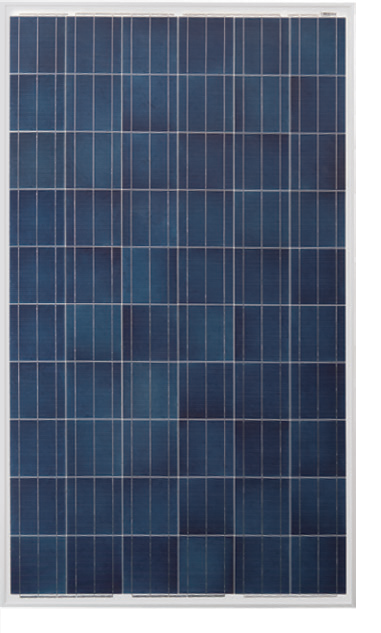 Astronergy CHSM6610P-245 245 Watt Solar Panel Module