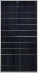 Gintech Energy GIN-P6-72-300 300 Watt Solar Panel Module