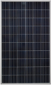 Gintech Energy P6-60-250 250 Watt Solar Panel Module