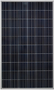 Gintech Energy GIN-P6-60-BK-245 245 Watt Solar Panel Module