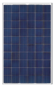 Neo Solar NSP280-D6P-B3A 280 Watt Solar PV Module