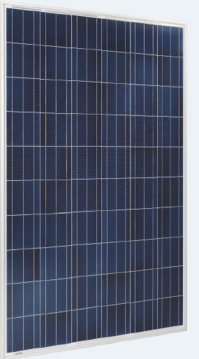 Perlight PLM-260P-60 260 Watt Solar Panel Module