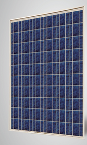 Sunrise SR-P660250 250 Watt Solar Panel Module