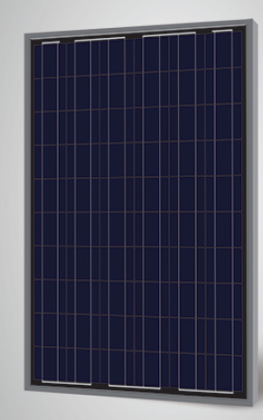 Sunrise SR-P660250-B 250 Watt Solar Panel Module