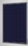 Sunrise SR-P660250-B 250 Watt Solar Panel Module