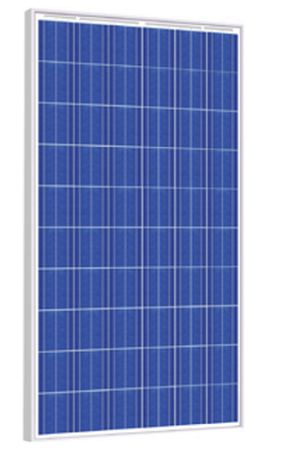Risen Energy SYP255P 255 Watt Solar Panel Module