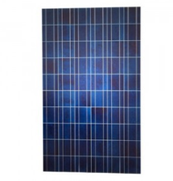Perlight PLM240P-60 250 Watts Solar Panel