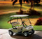 Club Car DS Electric Vehicle Image