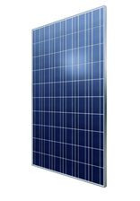 Axitec AXIworldpower AC-245P/156-60S 245 Watt Solar Panel Module image
