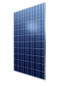 Axitec AXIworldpower AC-255P/156-60S 255 Watt Solar Panel Module image